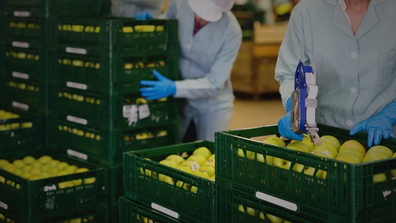 two people in white coats and gloves load grates of supplies