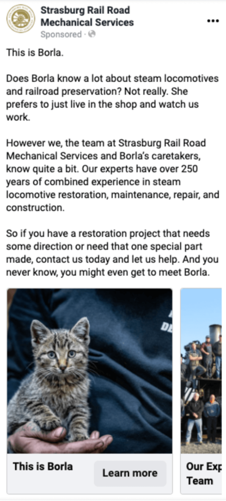 A screenshot of an ad with a cat