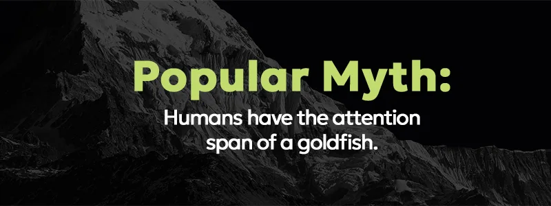 TWR BlogGraphic CMSComparison 02 The Long-Form Content Paradox: Why Slow Wins in an AI Era