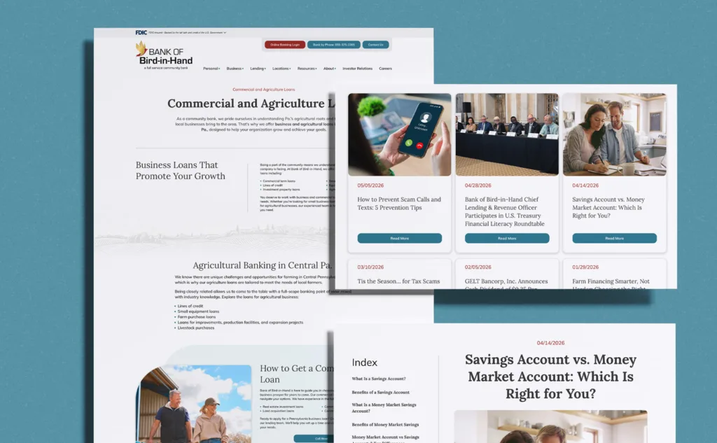 BBH Work 03 Bank of Bird-in-Hand: Website Design & IM Services