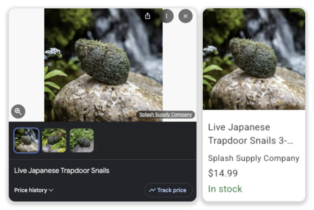 SS Work Splash Supply Company: Organic + Paid Search